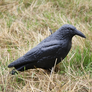 Lokvogels voor de jacht von AKAH Lockvogel Krähe unbemalt 71683000