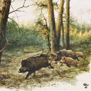 De gedekte tafel met territoriumkarakter von AKAH Jagdservietten Sauen 78443000